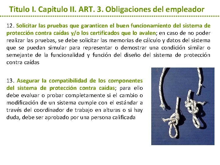 Titulo I. Capitulo II. ART. 3. Obligaciones del empleador 12. Solicitar las pruebas que