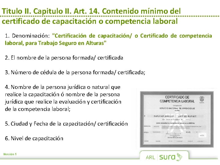 Titulo II. Capitulo II. Art. 14. Contenido mínimo del certificado de capacitación o competencia