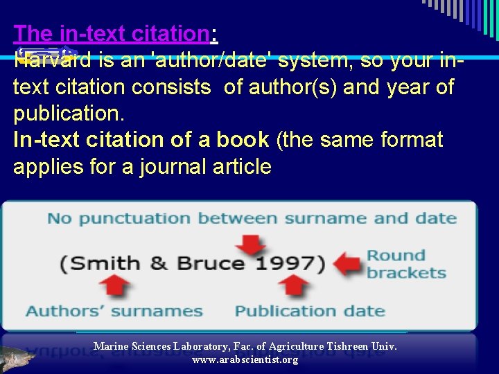 The in-text citation: Harvard is an 'author/date' system, so your intext citation consists of
