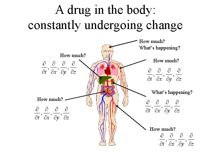 A drug in the body: constantly undergoing change How much? What’s happening? How much?