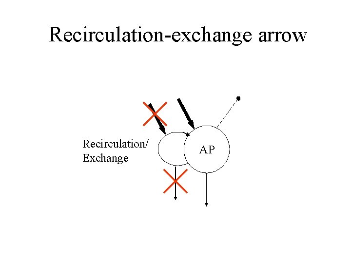 Recirculation-exchange arrow Recirculation/ Exchange AP 