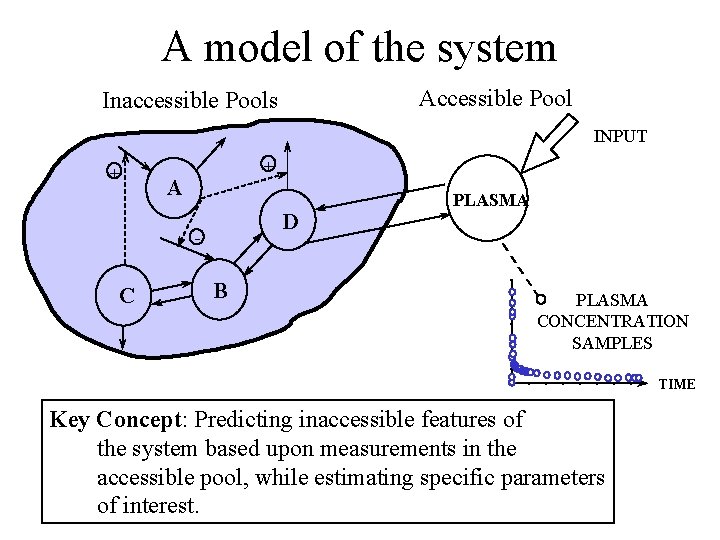 A model of the system Accessible Pool Inaccessible Pools INPUT + + A D