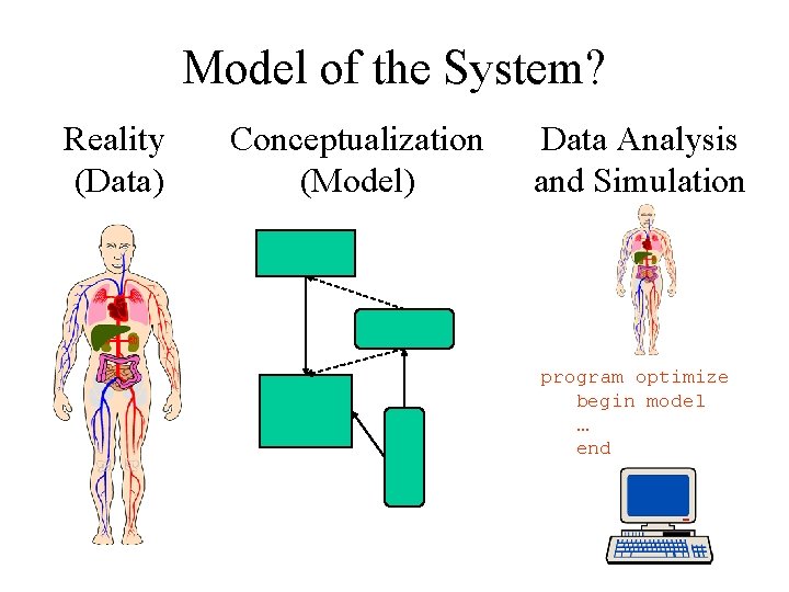 Model of the System? Reality (Data) Conceptualization (Model) Data Analysis and Simulation program optimize