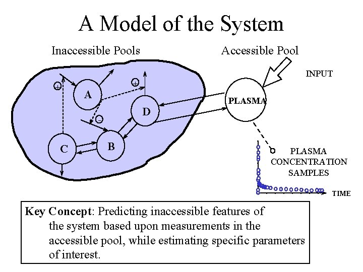 A Model of the System Inaccessible Pools Accessible Pool INPUT + + A D