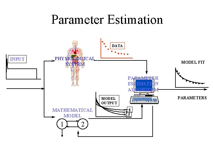 Parameter Estimation DATA INPUT PHYSIOLOGICAL SYSTEM MODEL FIT PARAMETER ESTIMATION ALGORITHM PARAMETERS MODEL OUTPUT