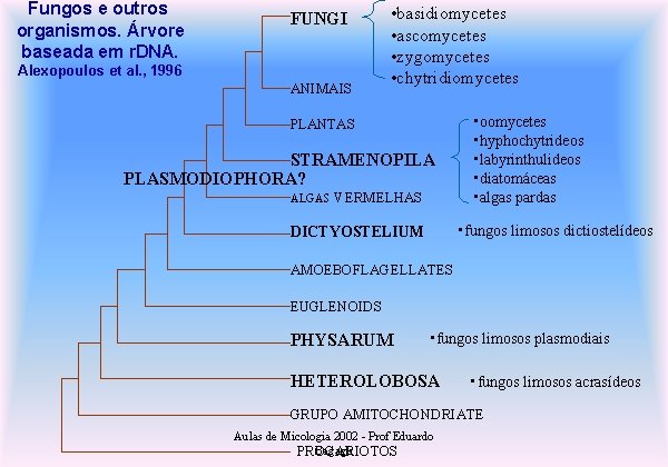 Fungos e outros organismos. Árvore baseada em r. DNA. FUNGI Alexopoulos et al. ,