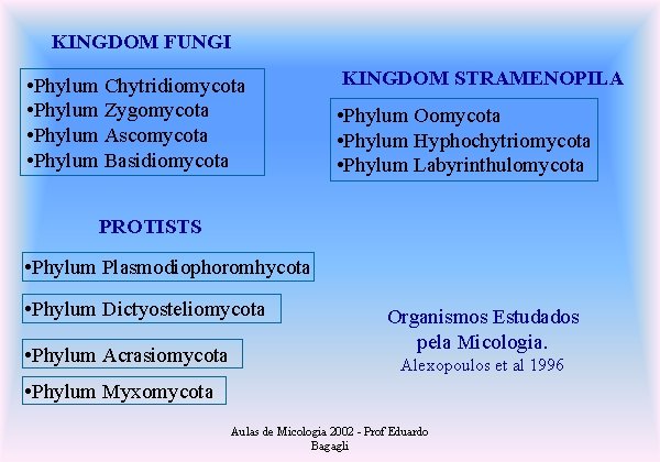 KINGDOM FUNGI • Phylum Chytridiomycota • Phylum Zygomycota • Phylum Ascomycota • Phylum Basidiomycota