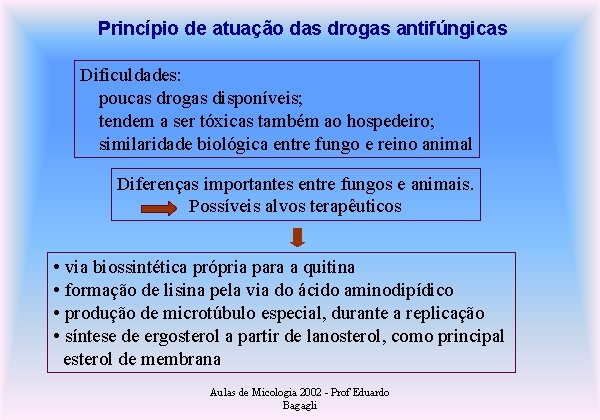 Princípio de atuação das drogas antifúngicas Dificuldades: poucas drogas disponíveis; tendem a ser tóxicas