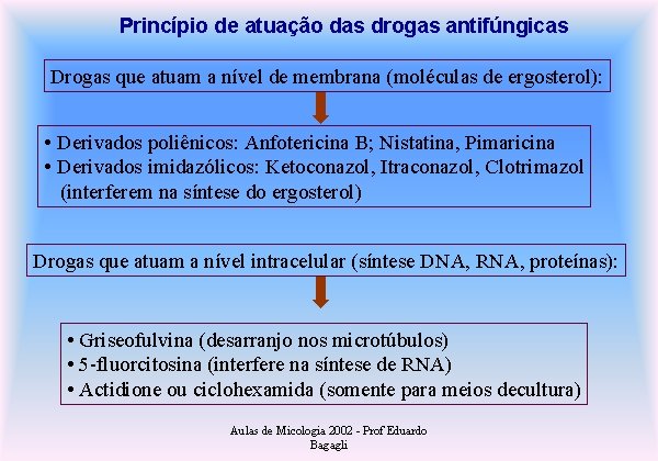Princípio de atuação das drogas antifúngicas Drogas que atuam a nível de membrana (moléculas