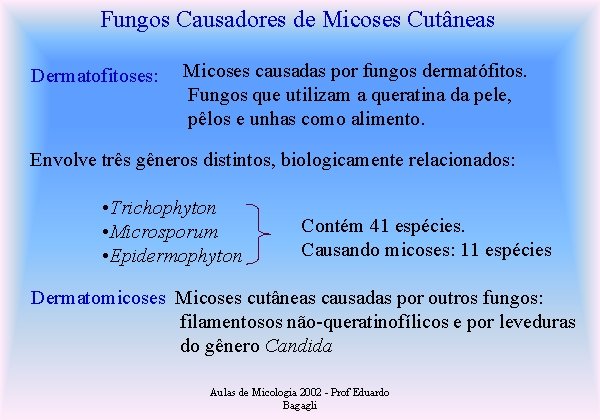 Fungos Causadores de Micoses Cutâneas Dermatofitoses: Micoses causadas por fungos dermatófitos. Fungos que utilizam