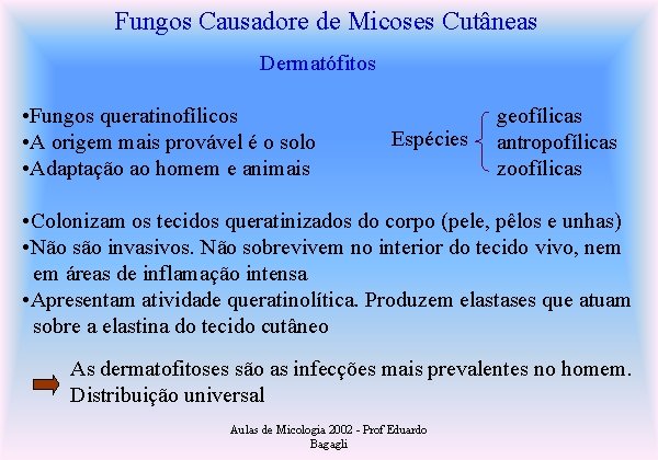 Fungos Causadore de Micoses Cutâneas Dermatófitos • Fungos queratinofílicos • A origem mais provável