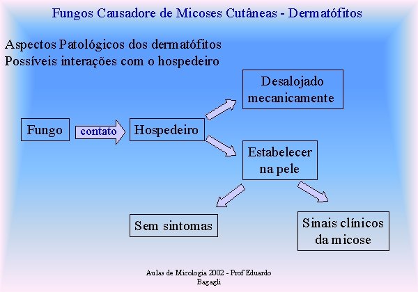 Fungos Causadore de Micoses Cutâneas - Dermatófitos Aspectos Patológicos dermatófitos Possíveis interações com o