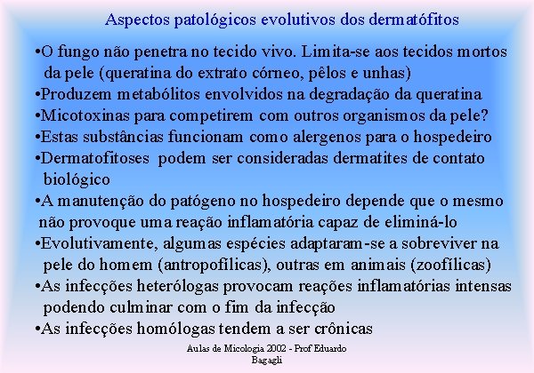 Aspectos patológicos evolutivos dermatófitos • O fungo não penetra no tecido vivo. Limita-se aos