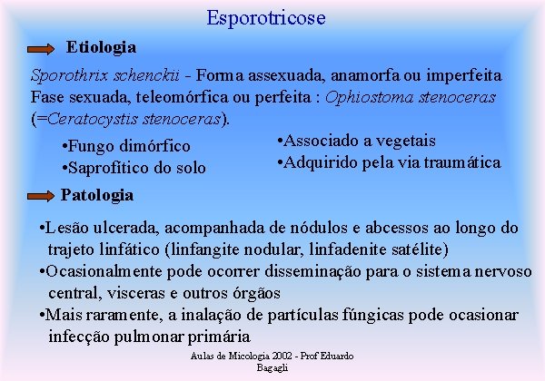 Esporotricose Etiologia Sporothrix schenckii - Forma assexuada, anamorfa ou imperfeita Fase sexuada, teleomórfica ou