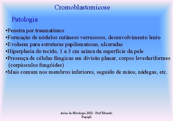 Cromoblastomicose Patologia • Penetra por traumatismo • Formação de nódulos cutâneos verrucosos, desenvolvimento lento