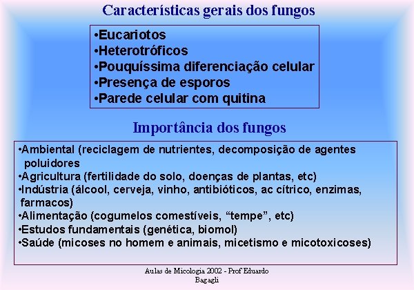 Características gerais dos fungos • Eucariotos • Heterotróficos • Pouquíssima diferenciação celular • Presença