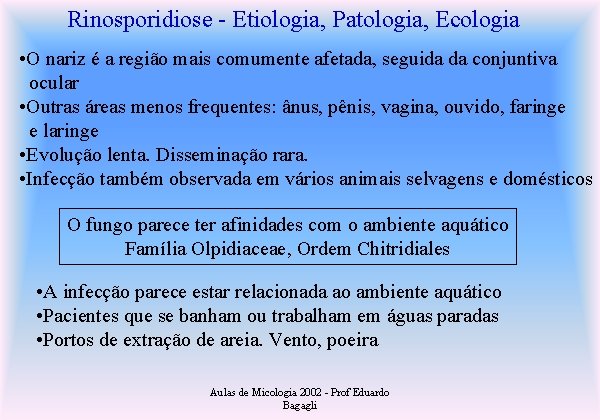 Rinosporidiose - Etiologia, Patologia, Ecologia • O nariz é a região mais comumente afetada,