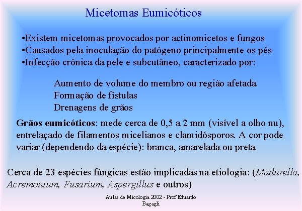 Micetomas Eumicóticos • Existem micetomas provocados por actinomicetos e fungos • Causados pela inoculação