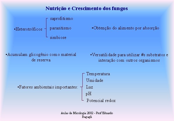 Nutrição e Crescimento dos fungos saprofitismo • Heterotróficos parasitismo • Obtenção do alimento por