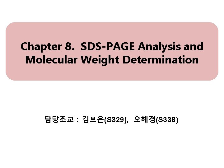 Chapter 8. SDS-PAGE Analysis and Molecular Weight Determination 담당조교 : 김보은(S 329), 오혜경(S 338)