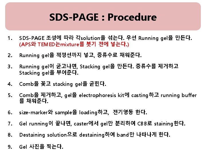 SDS-PAGE : Procedure 1. SDS-PAGE 조성에 따라 각solution을 섞는다. 우선 Running gel을 만든다. (APS와