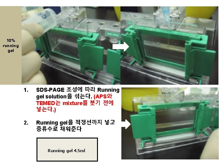 10% running gel 1. SDS-PAGE 조성에 따라 Running gel solution을 섞는다. (APS와 TEMED는 mixture를