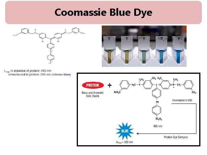 Coomassie Blue Dye 