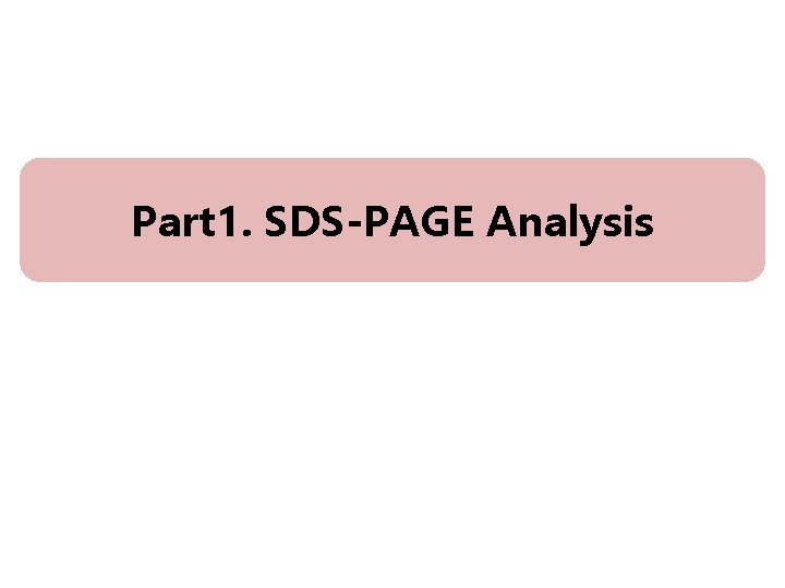 Part 1. SDS-PAGE Analysis 