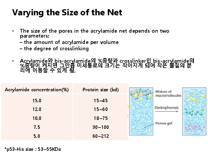 Varying the Size of the Net • The size of the pores in the