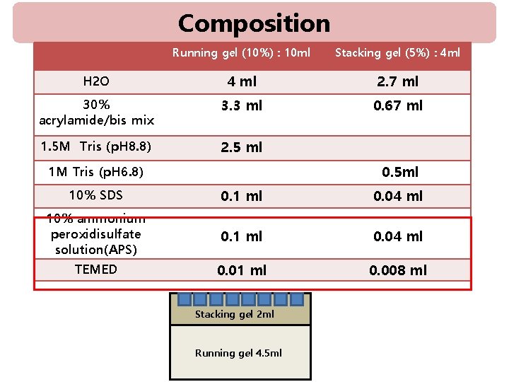 Composition Running gel (10%) : 10 ml Stacking gel (5%) : 4 ml H