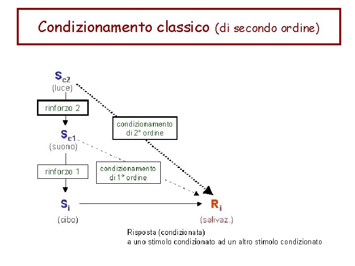 Condizionamento classico (di secondo ordine) 