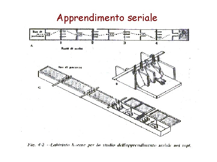 Apprendimento seriale 