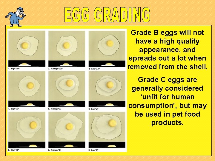 Grade B eggs will not have a high quality appearance, and spreads out a