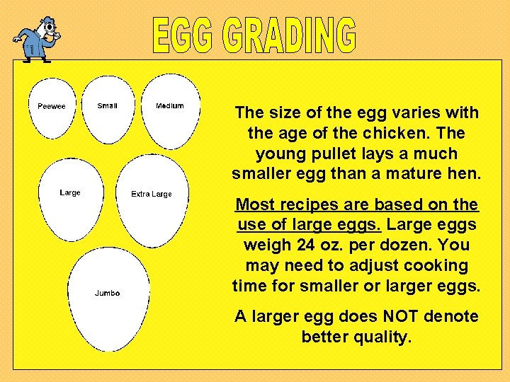 The size of the egg varies with the age of the chicken. The young