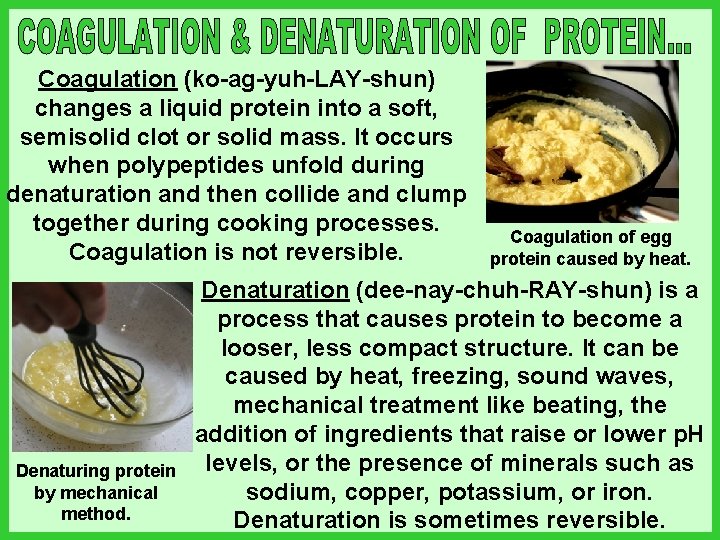 Coagulation (ko-ag-yuh-LAY-shun) changes a liquid protein into a soft, semisolid clot or solid mass.