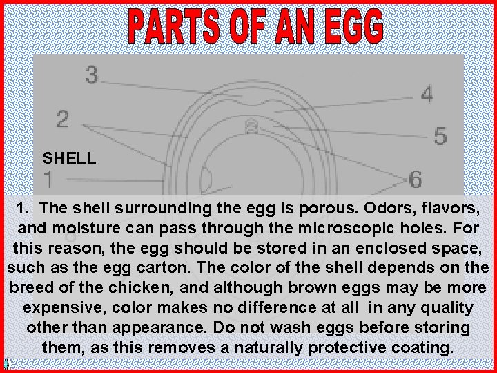 SHELL 1. The shell surrounding the egg is porous. Odors, flavors, and moisture can
