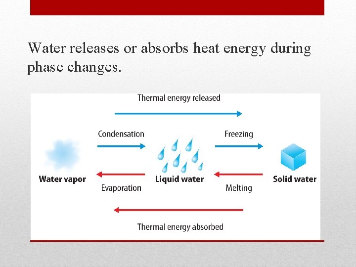 Water releases or absorbs heat energy during phase changes. 