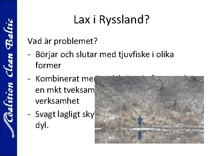 Lax i Ryssland? Vad är problemet? - Börjar och slutar med tjuvfiske i olika