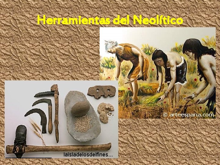 Herramientas del Neolítico laisladelosdelfines. . . 