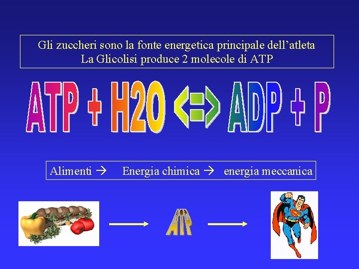 Gli zuccheri sono la fonte energetica principale dell’atleta La Glicolisi produce 2 molecole di