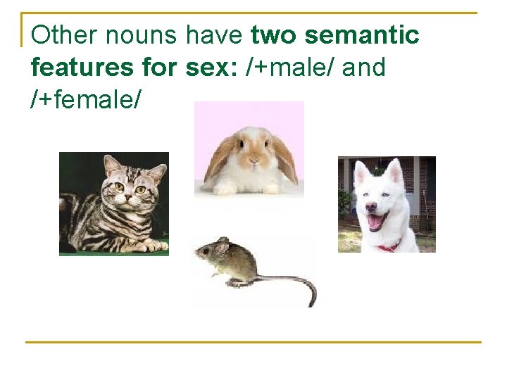 Other nouns have two semantic features for sex: /+male/ and /+female/ 