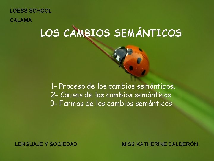 LOESS SCHOOL CALAMA LOS CAMBIOS SEMÁNTICOS 1 - Proceso de los cambios semánticos. 2