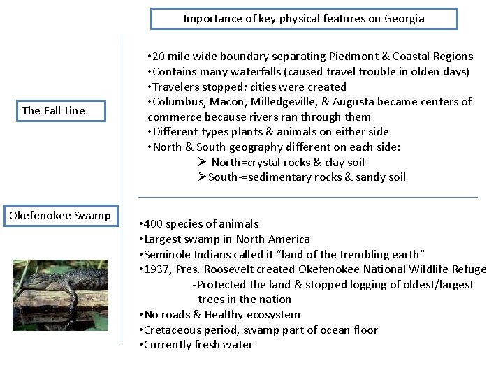 Importance of key physical features on Georgia The Fall Line Okefenokee Swamp • 20