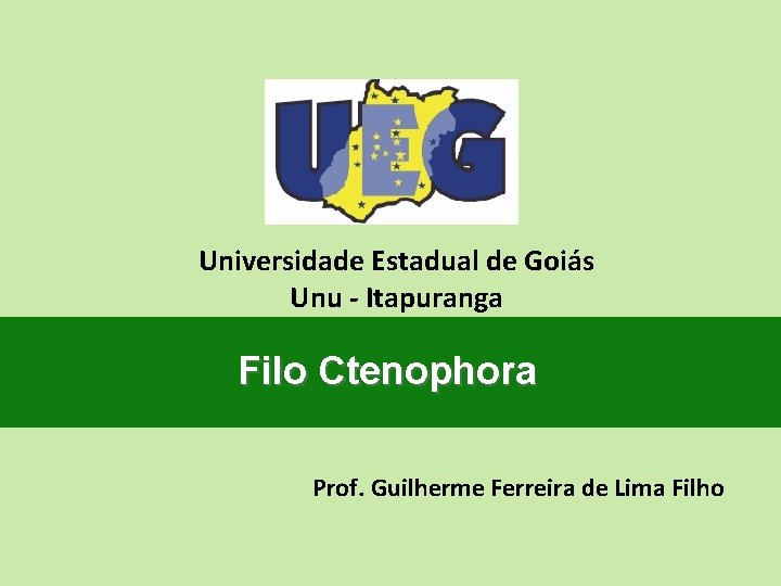 Universidade Estadual de Goiás Unu - Itapuranga Filo Ctenophora Prof. Guilherme Ferreira de Lima