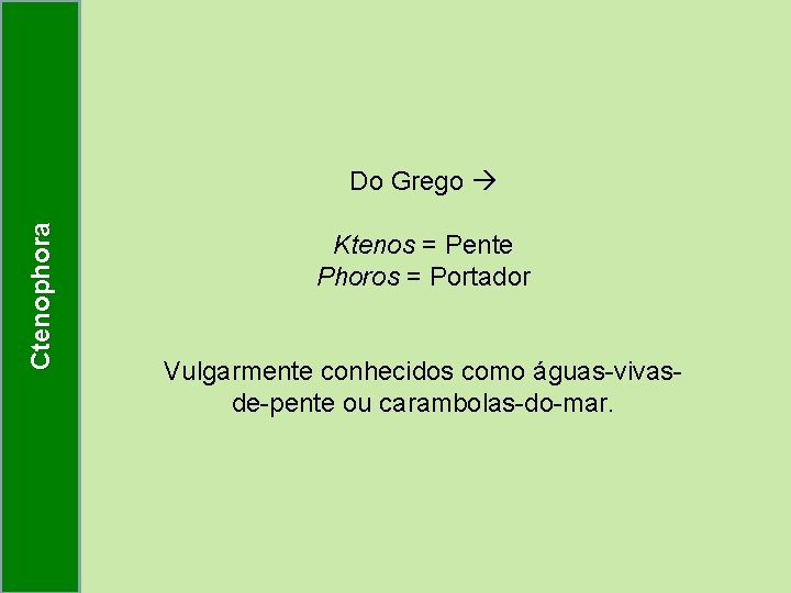 Ctenophora Do Grego Ktenos = Pente Phoros = Portador Vulgarmente conhecidos como águas-vivasde-pente ou