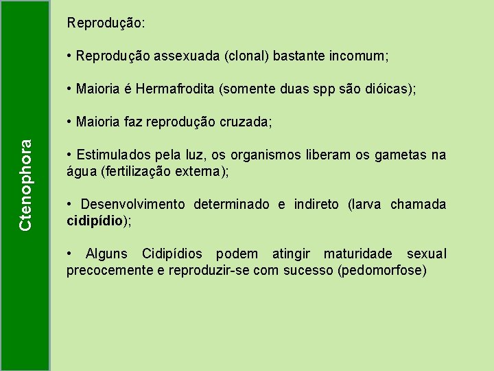 Reprodução: • Reprodução assexuada (clonal) bastante incomum; • Maioria é Hermafrodita (somente duas spp