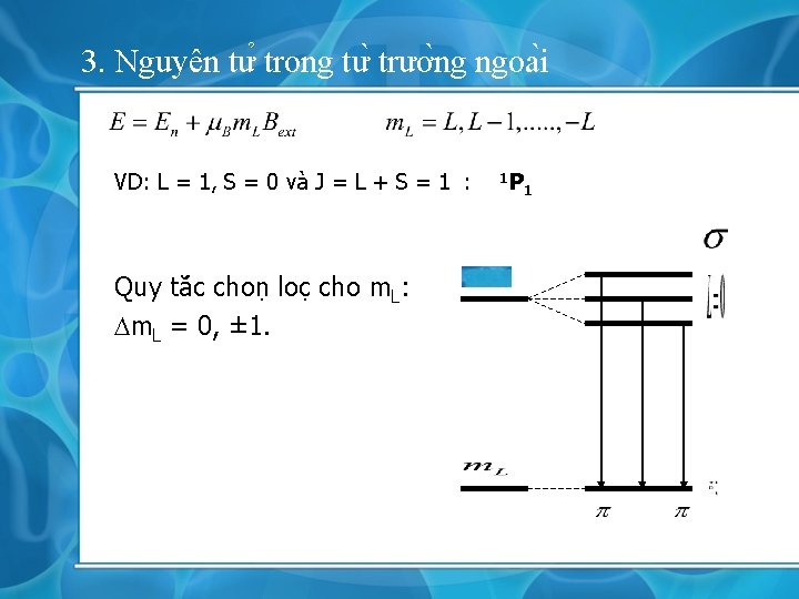 3. Nguyên tư trong tư trươ ng ngoa i VD: L = 1, S