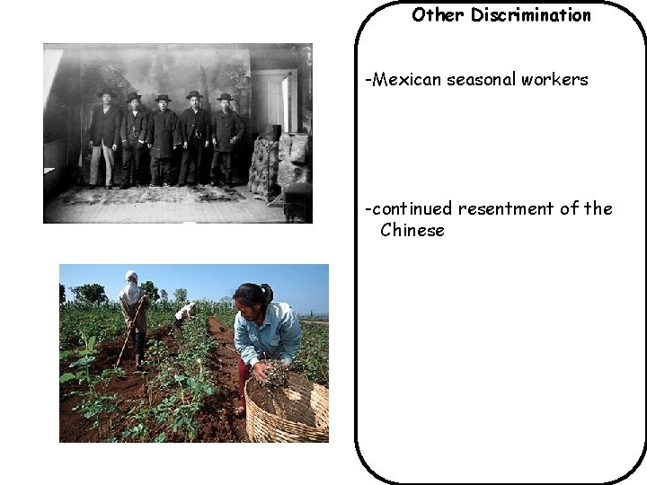 Other Discrimination -Mexican seasonal workers -continued resentment of the Chinese 