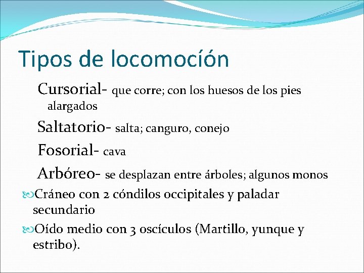 Tipos de locomocíón Cursorial- que corre; con los huesos de los pies alargados Saltatorio-