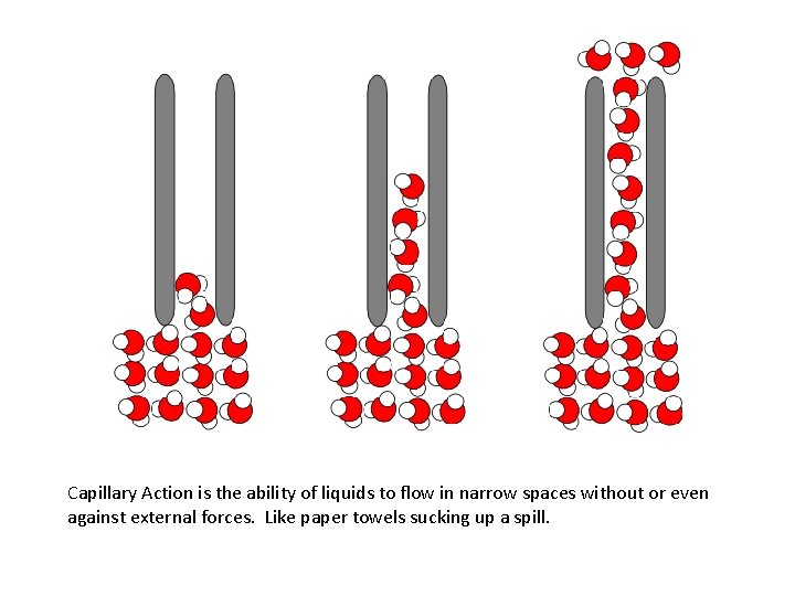 Capillary Action is the ability of liquids to flow in narrow spaces without or